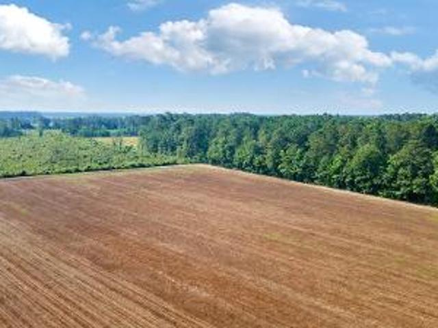 Land for sale in Clarendon, North Carolina