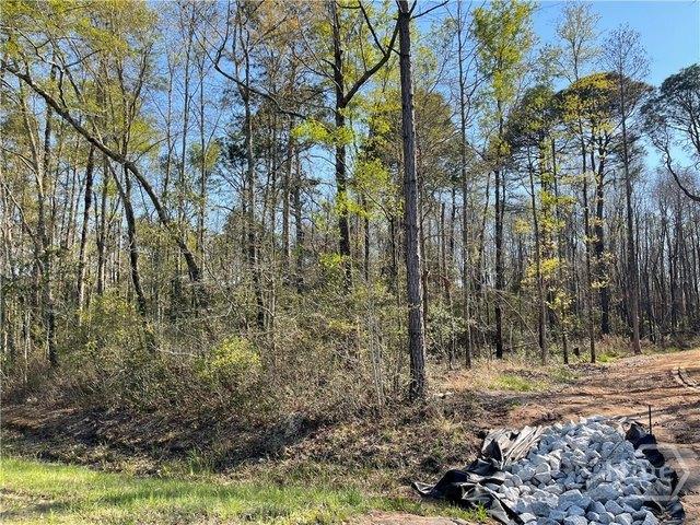 Land for sale in Springfield, Georgia