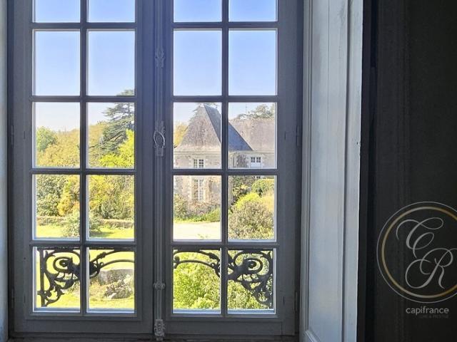 Château vente à Angers, Savennières