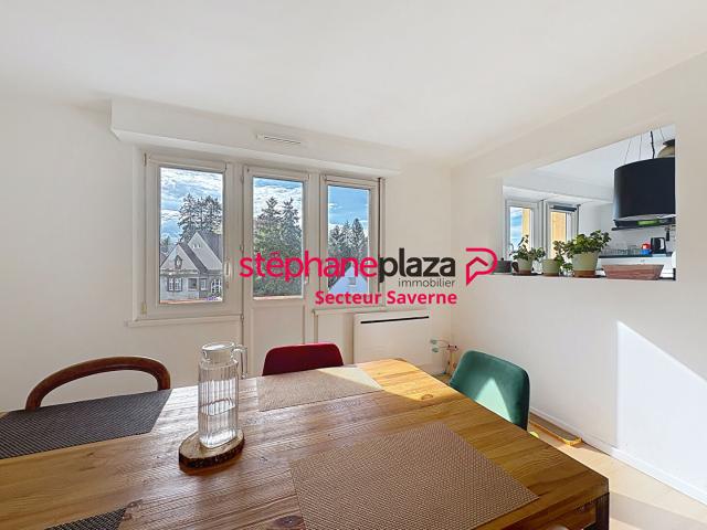 Appartement vente à Saverne