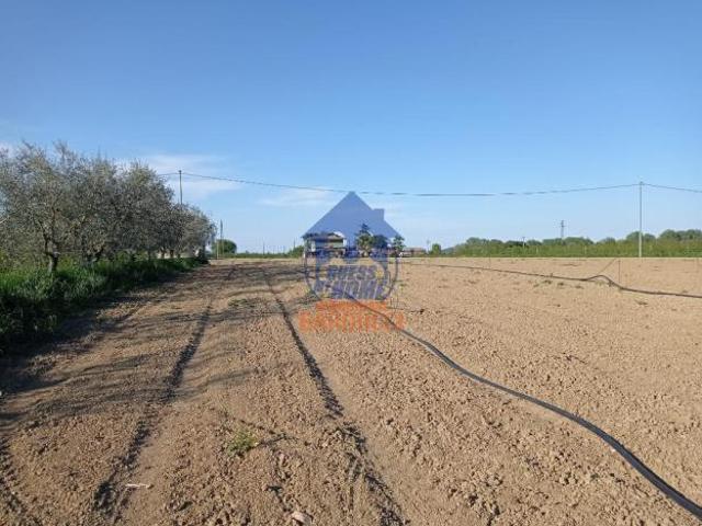 Terreno in vendita a Savignano Sul Rubicone, Reggio Emilia