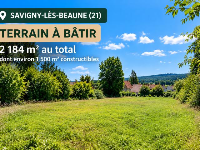 Terrain vente à Savigny-lès-Beaune, Côte-d'Or