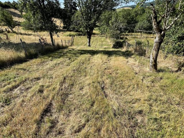 Terrain vente à Dijon, Savigny-sous-mâlain