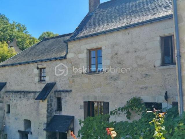 Château vente à Tours, Savonnières