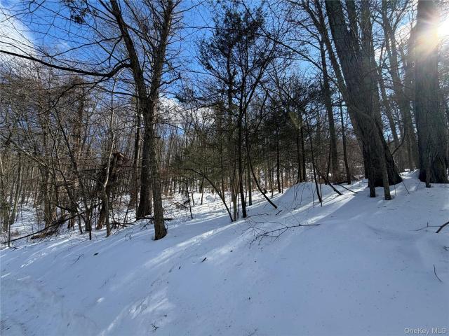 Land for sale in Putnam Valley, New York
