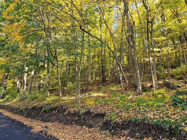 Land for sale in Town of Putnam Valley, Putnam County