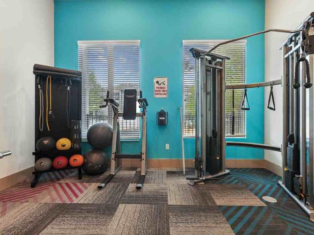 Apartment for rent in New Port Richey, Pasco County