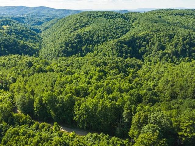 Land for sale in Virginia