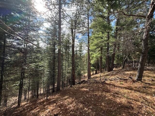 Land for sale in Grayling, Michigan