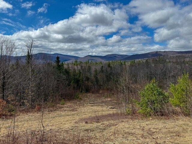 Land for sale in Andover, Maine