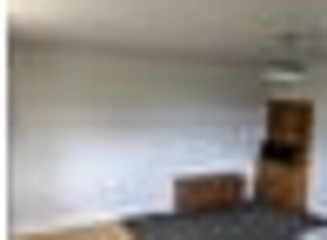 Apartment for rent in Sawyers Bay, Dunedin