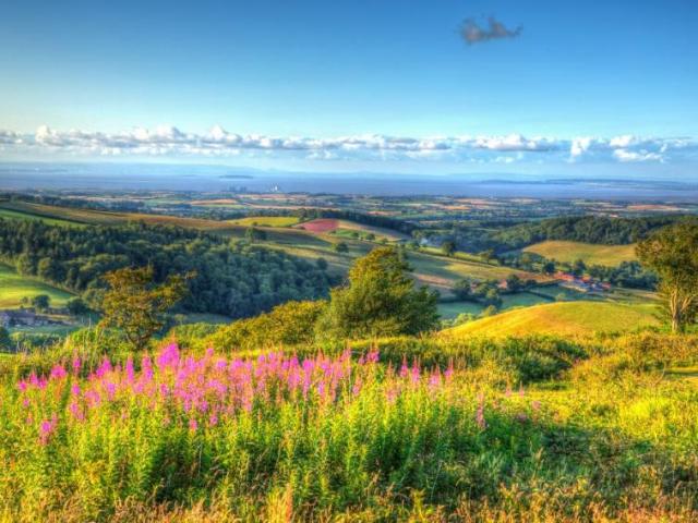 Property for sale in North Petherton, Somerset