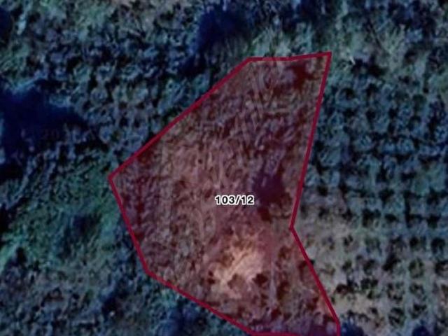 Şeyhköy, Kandıra içerisinde satılık Arsa