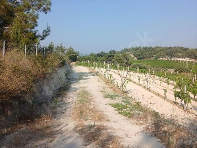 Tarsus, Mersin içerisinde satılık mülk