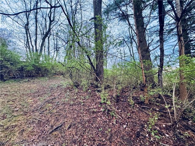 Land for sale in West Virginia