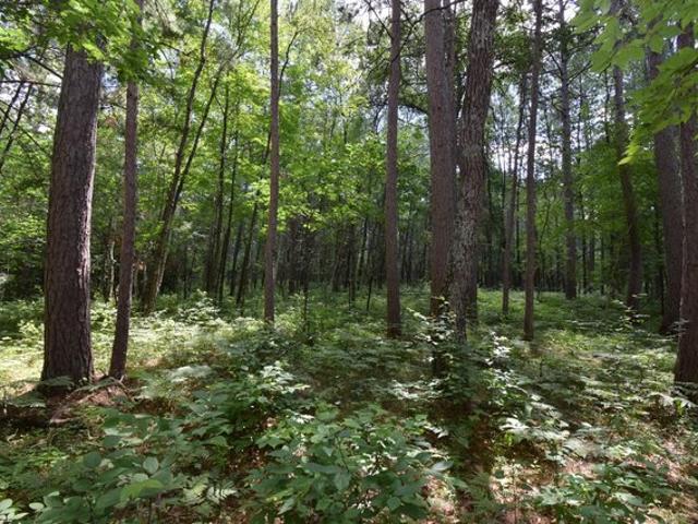 Land for sale in Siren, Wisconsin