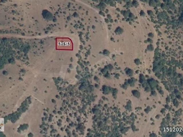 Tavşanli, Kütahya içerisinde satılık Arsa
