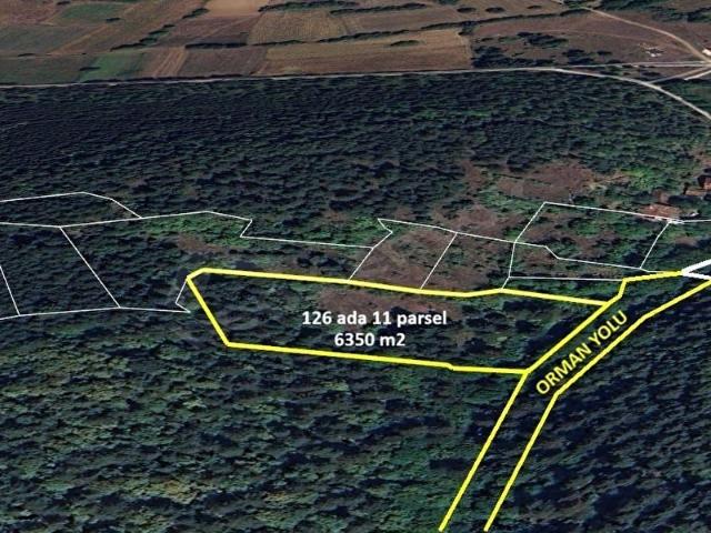 Sazakkınık, Bolu Merkez içerisinde satılık Arsa