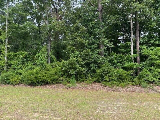 Land for sale in Barnwell, South Carolina