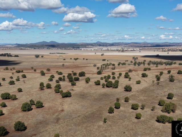 Cottage for sale in Gunnedah, New South Wales
