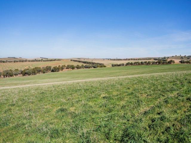 Cottage for sale in Wantabadgery, New South Wales