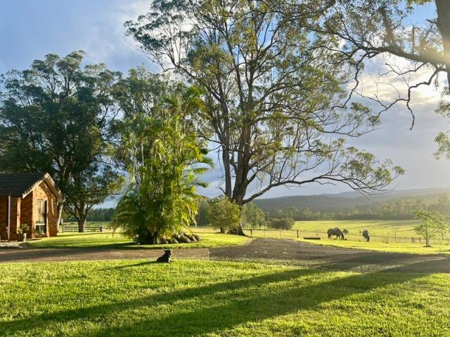 Cottage for sale in Casino, New South Wales