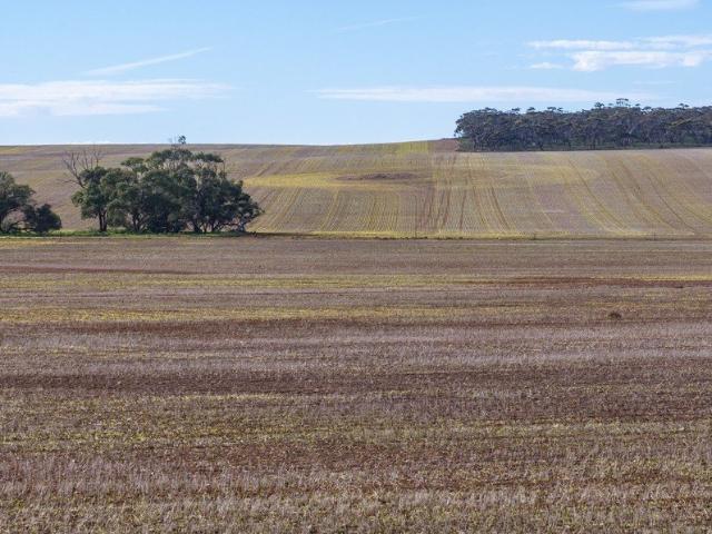 Cottage for sale in Goyder, South Australia