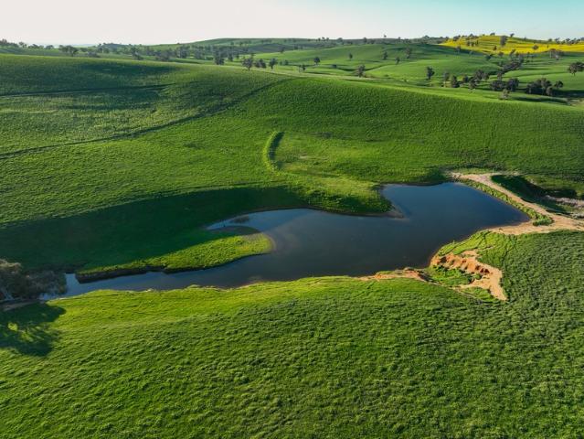 Property for sale in New South Wales