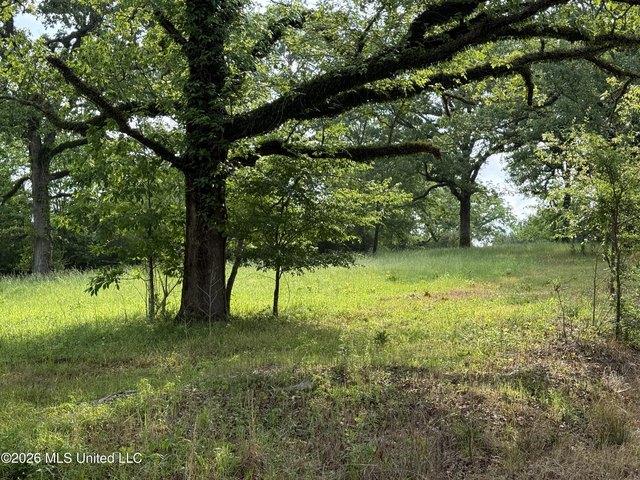 Land for sale in Morton, Mississippi