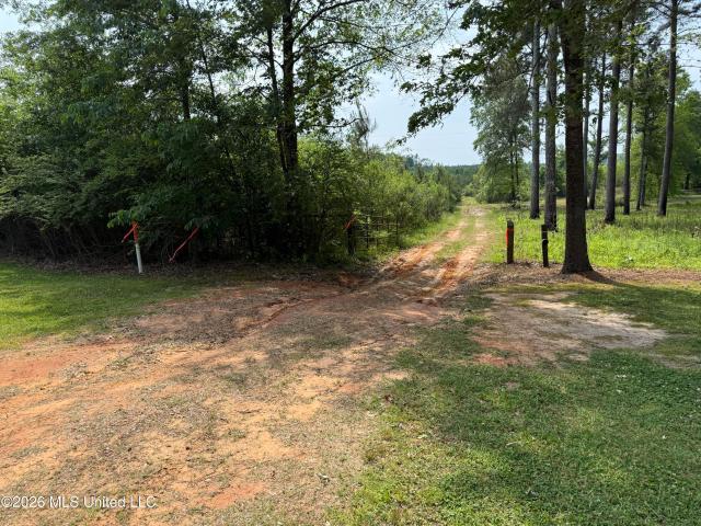 Land for sale in Morton, Mississippi