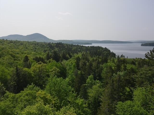 Land for sale in Greenville, Maine