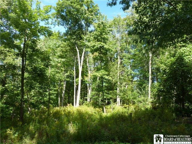Land for sale in Sunset Bay, Village of Bemus Point