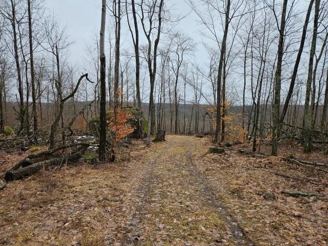 Land for sale in Warren, Pennsylvania
