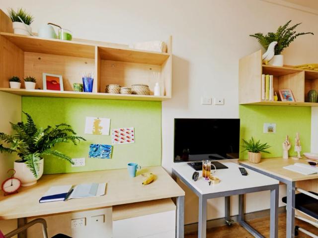 Room for rent in Sydney, New South Wales