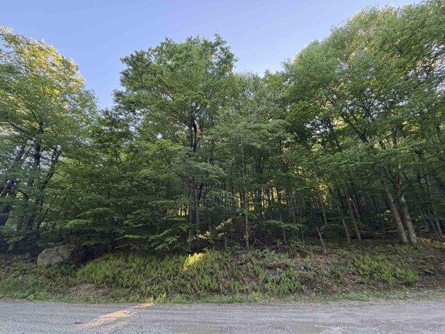 Land for sale in Wilmington, Vermont