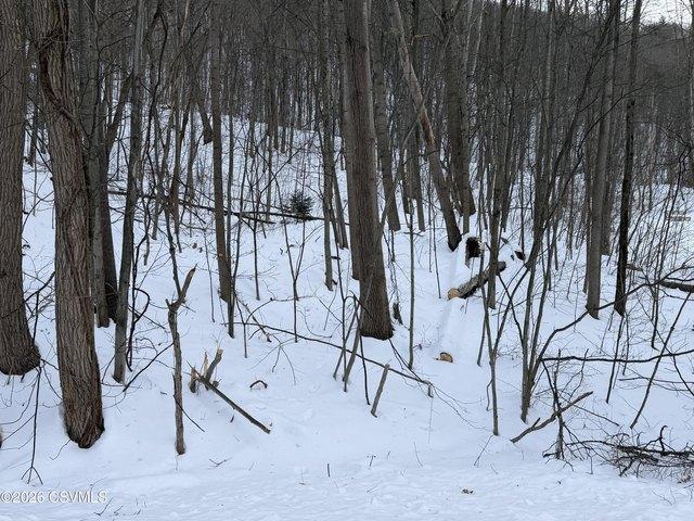Land for sale in Bloomsburg, Pennsylvania