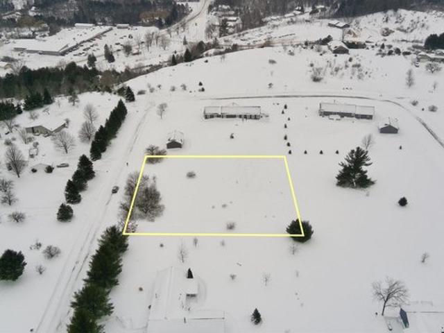 Land for sale in Honor, Michigan