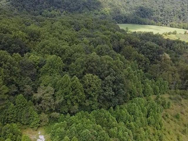 Land for sale in Virginia