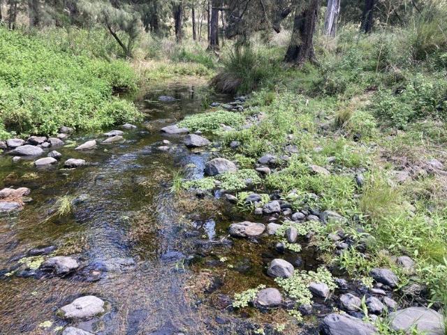 Cottage for sale in Cassilis, New South Wales