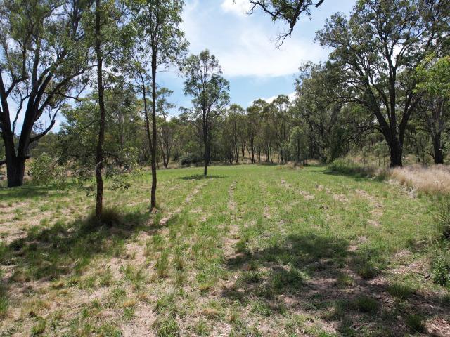 Property for sale in Cassilis, New South Wales