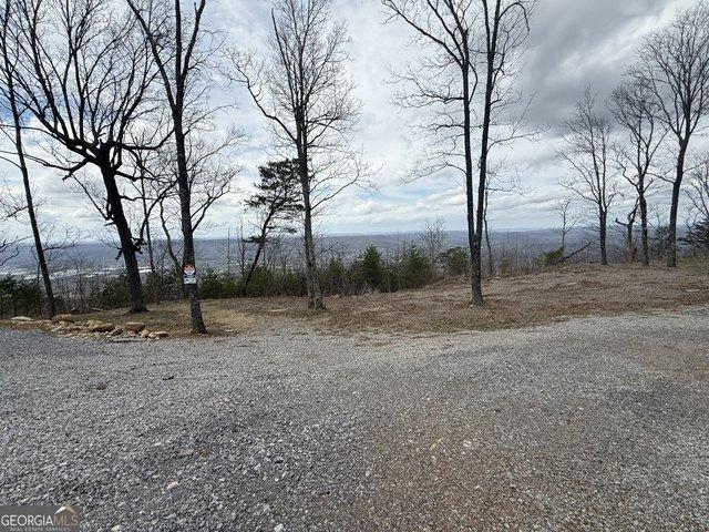 Land for sale in Rising Fawn, Georgia