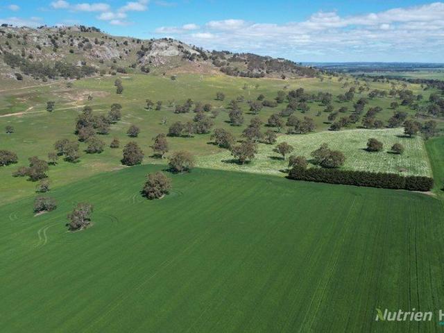 Acreage for sale in Waubra, Victoria