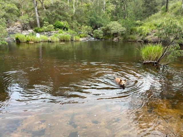 Cottage for sale in Cullendore, New South Wales