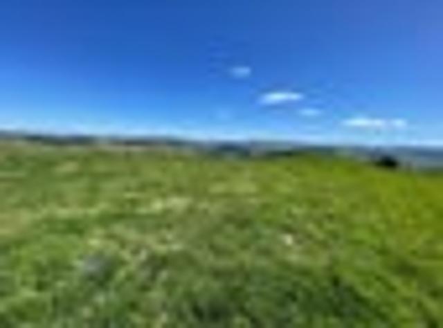 Land for sale in Gisborne District, Gisborne