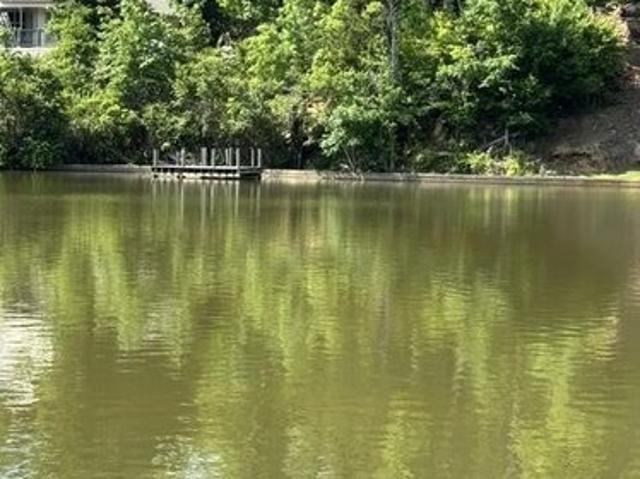 Land for sale in Tallapoosa, Alabama