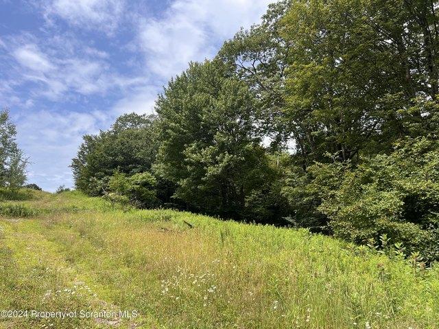 Land for sale in Union Dale, Pennsylvania