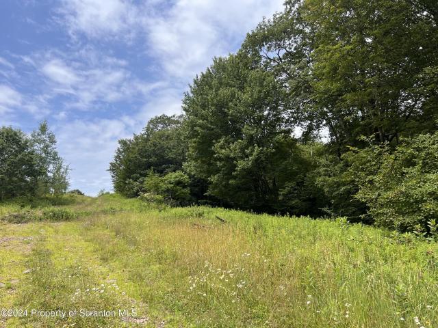 Land for sale in South Gibson, Pennsylvania