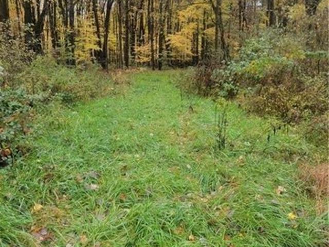 Land for sale in Andover, Ohio