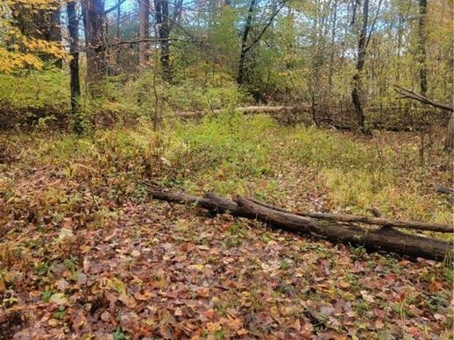 Land for sale in Andover, Ohio