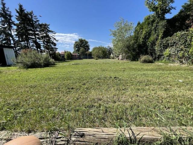 Grundstück kaufen in Kottingbrunn, Niederösterreich